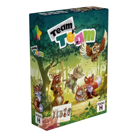 Team Team - jeu pour enfant Gigamic & Studio H