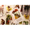 Choisissez votre Princesse Rebelle parmi les cartes magnifiquement illustrées !