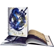La Clef : Tome 2, Les Chutes d'Est-Rive. Le livre énigme
