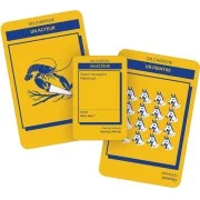 Cartes du jeu de société Enclume et Images