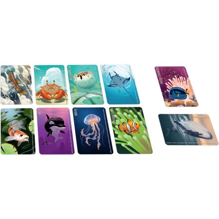 Zoom sur les cartes animaux marins aux illustrations détaillées.