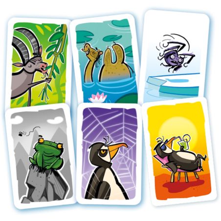 Cartes du jeu d'ambiance MÉOUTÉ