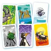 Cartes du jeu d'ambiance MÉOUTÉ